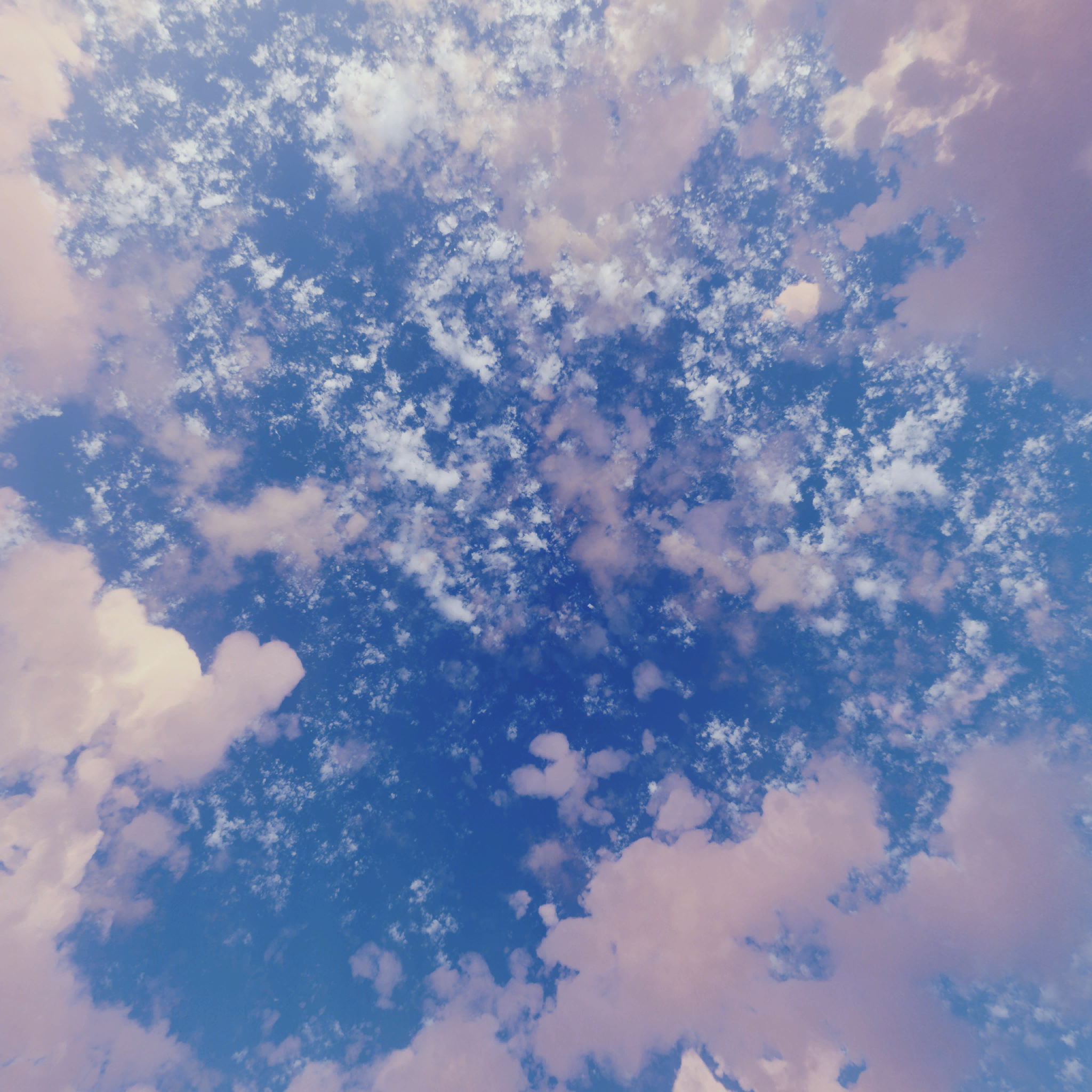 Pink Sunrise